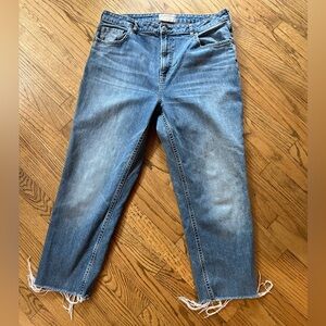 Everlane The Cheeky Jean 33 High Rise Straight Raw Hem Blue Denim Vintage Wash